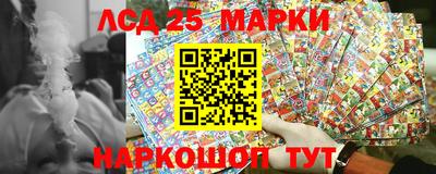 прущие грибы Гагарин