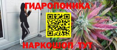 прущие грибы Гагарин