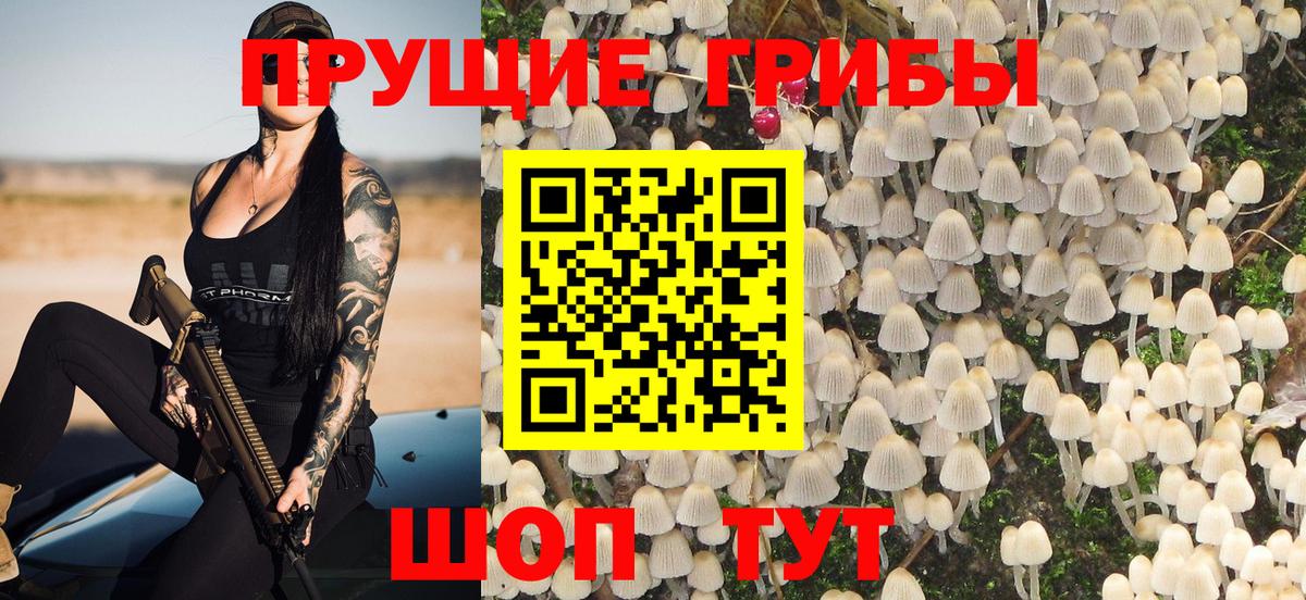 Псилоцибиновые грибы прущие грибы Орёл
