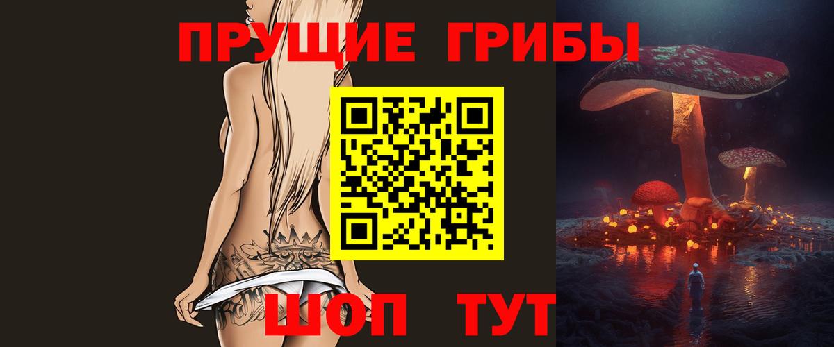 наркотики  Галлюциногенные грибы прущие грибы  Орёл  Вход с VPN  Псилоцибиновые грибы Psilocybe 